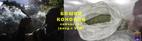 стаф Майский