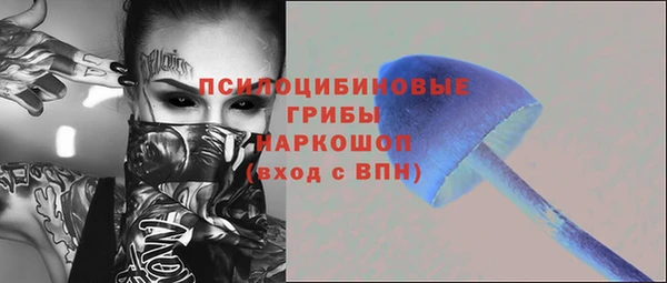 стаф Майский