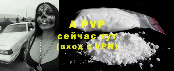 стаф Майский