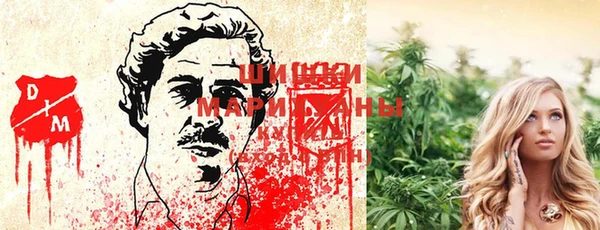 стаф Майский