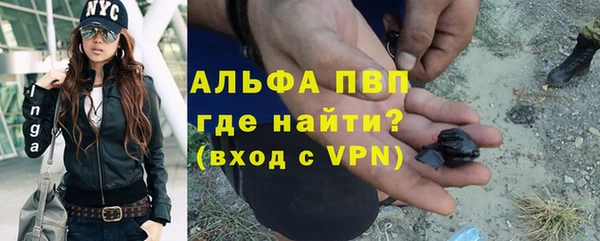 шишки Мегион